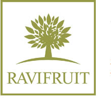 Ravifruit logo