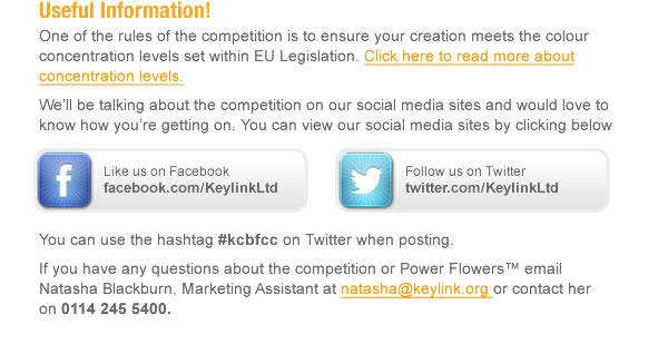 One of the rules of the competition is to ensure your creation meets the colour concentration levels set within EU Legislation. Click here to view the legislation information  We’ll be talking about the competition on our social media sites and would love to know how you’re getting on. You can view our social media sites by clicking below     You can use the hashtag #cbfc on Twitter when posting. If you have any questions about the competition or Power Flowers™ email Natasha Blackburn, Marketing Assistant at natasha@keylink.org or contact her on 0114 245 5400.