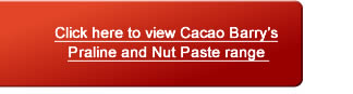 Praline and Nut Pastes