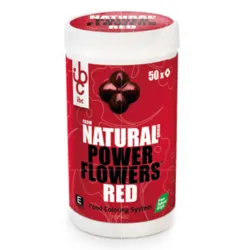 Red Natural Power Flowers