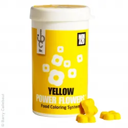 Yellow Power Flowers