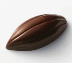 Cocoa Pods Praline Mould