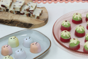 Christmas Chocolate Moulds