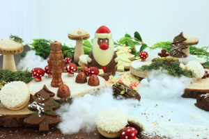 Ned's Christmas Story